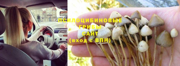 трава Алексеевка