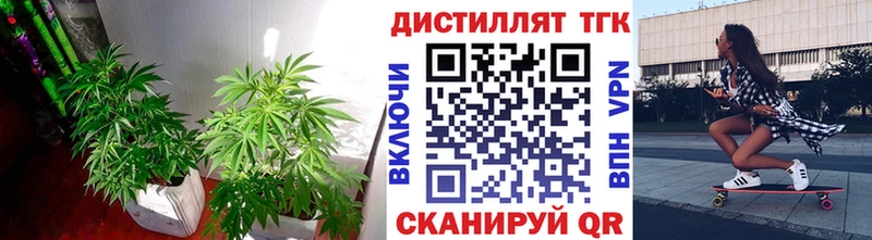 OMG сайт  мориарти клад  ТГК гашишное масло  Тайшет 