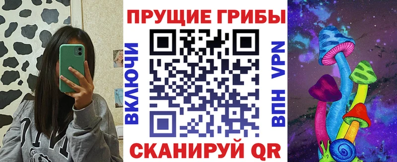 darknet клад  наркота  Тайшет  Галлюциногенные грибы прущие грибы 